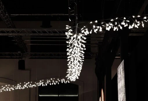 Heracleum Endless Light, 2014
